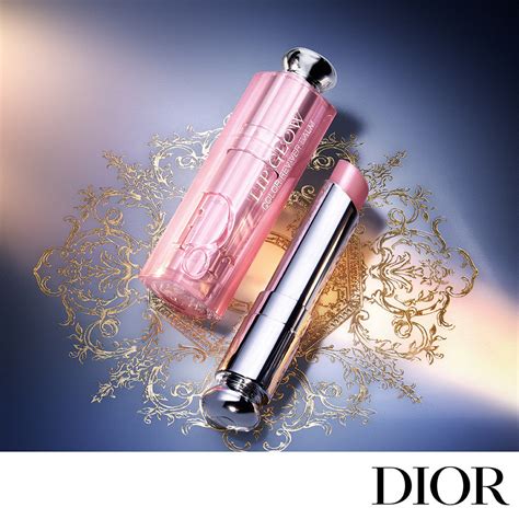 dior must haves|christian dior gifts.